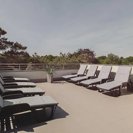 Harmony House سفينويتشي